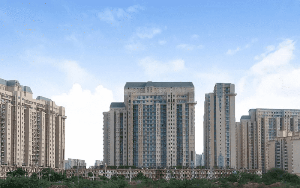 DLF Aralias